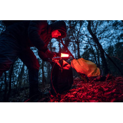 Latarka Bear WRG Magnet USB ARMYTEK