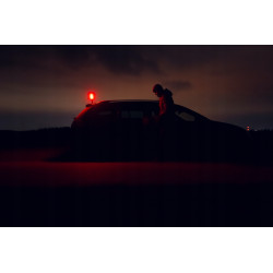 Latarka Bear WRG Magnet USB ARMYTEK